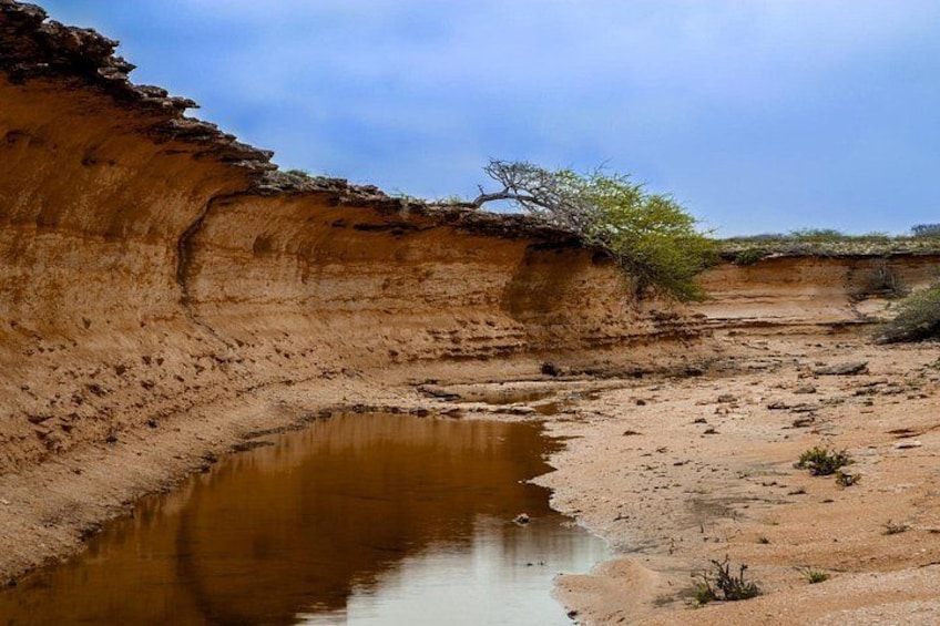 Un lit de rivière asséché avec une petite mare, une falaise abrupte et une végétation clairsemée. 2