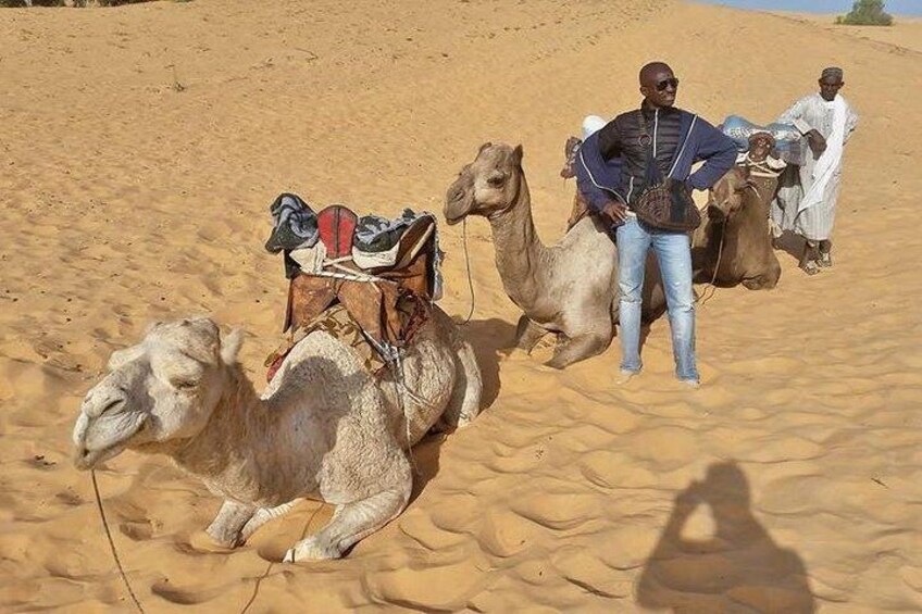 The Best of Senegal,8 Days 3