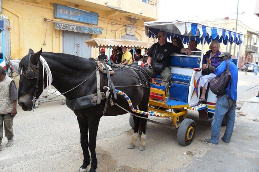 The Best of Senegal,8 Days 2