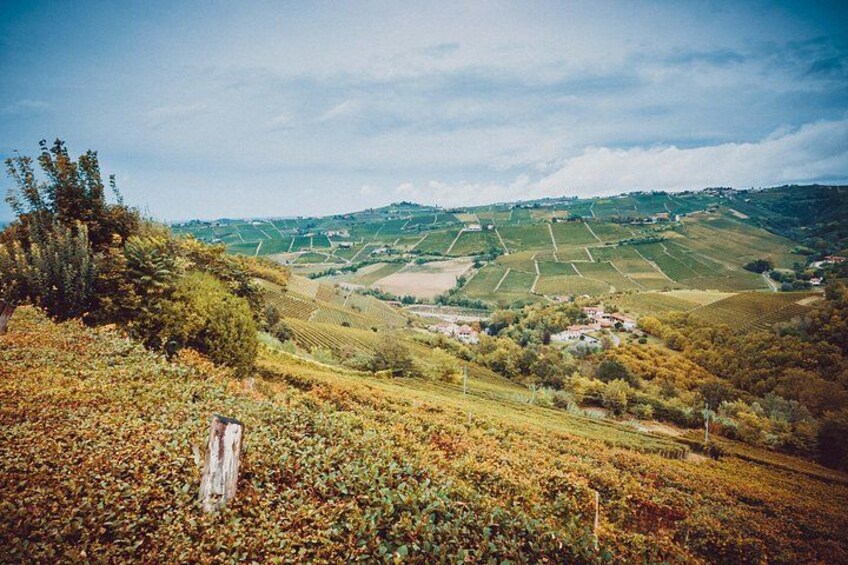 view from the cellar 2