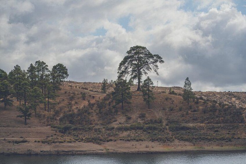 Gran Canaria Full Private Photography Experience 4