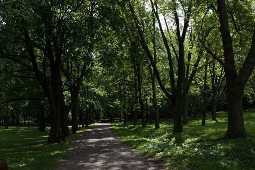 En stig i en park, kantad av träd. 3