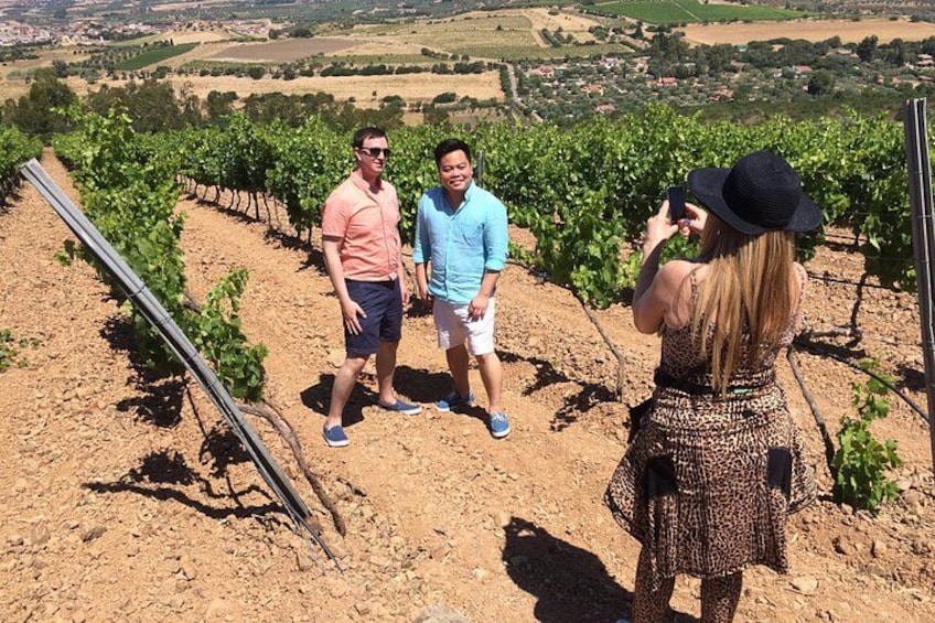 Small-Group Food and Wine Tour from Cagliari 2