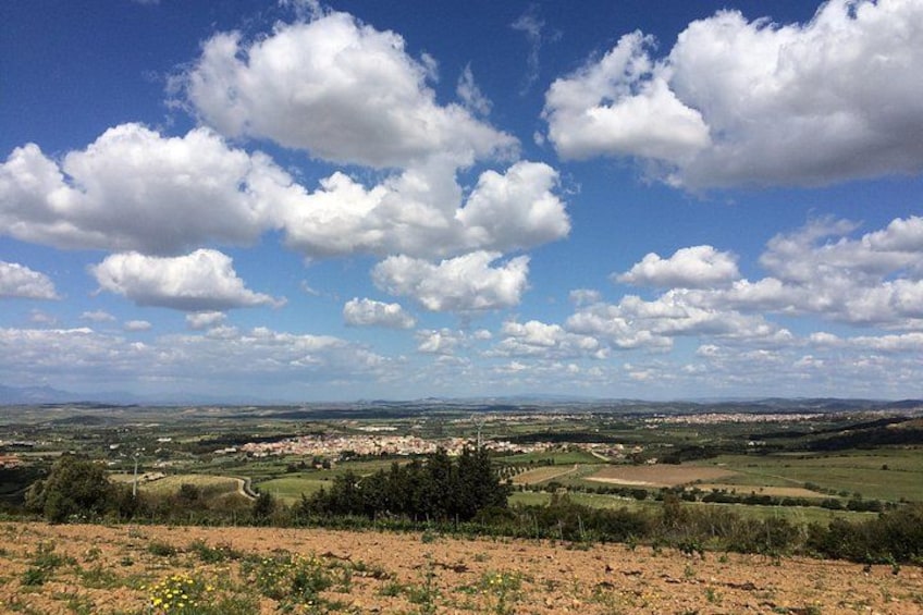 Small-Group Food and Wine Tour from Cagliari 2