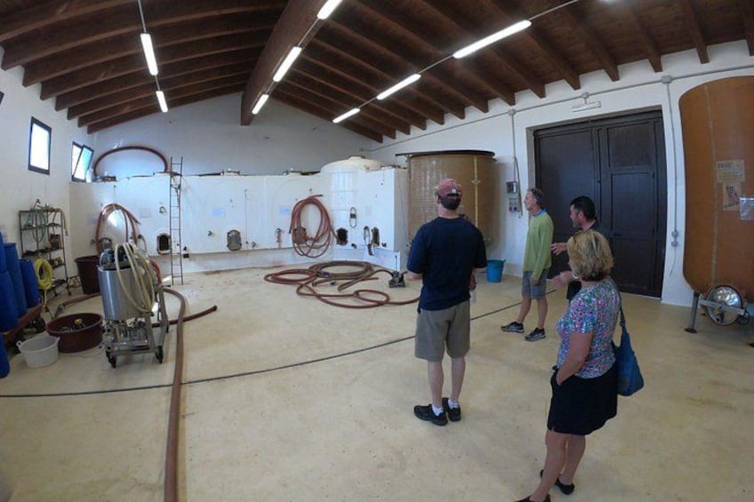 Small-Group Food and Wine Tour from Cagliari 4