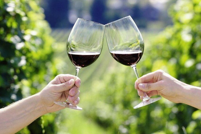 Small Group Wine Tour & San Gimignano Visit 2