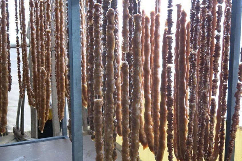 A series of long, cylindrical objects hanging vertically in an industrial setting. 5
