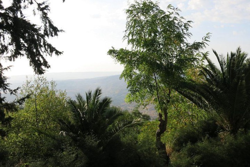 Tour with a true local - we all have Cypriot heritage and speak both English & Greek fluently 4