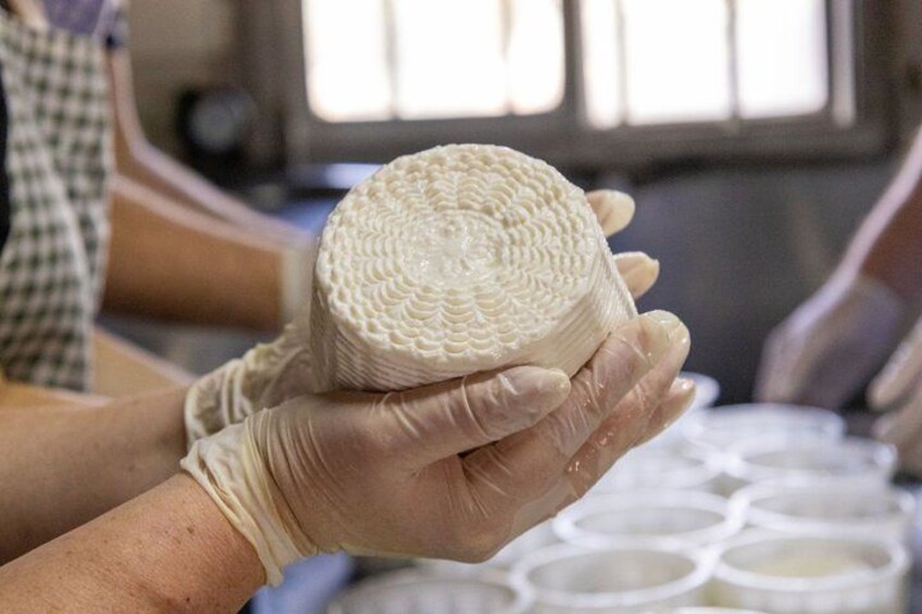 A person holding a round, textured object, likely a cheese wheel, in a kitchen setting with containers in the background. 2