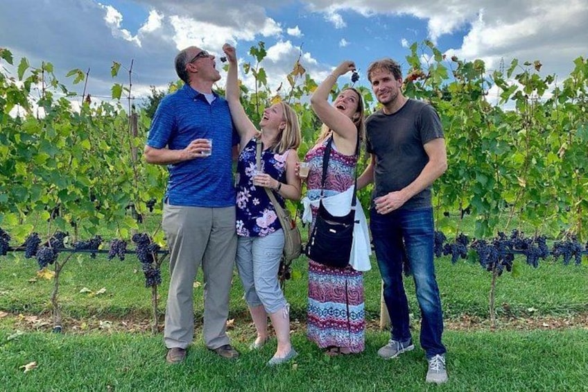 Tuscany wine tasting tour 5