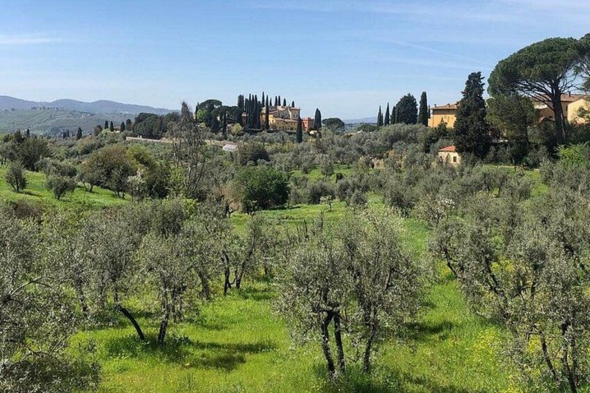 Private Self-Guided E-Bike Ride in Tuscany with Vineyard Visit 1