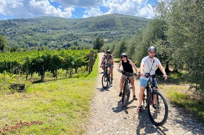 A group of people on bicycles on a gravel path surrounded by vineyards and olive trees, with hills in the background. 1