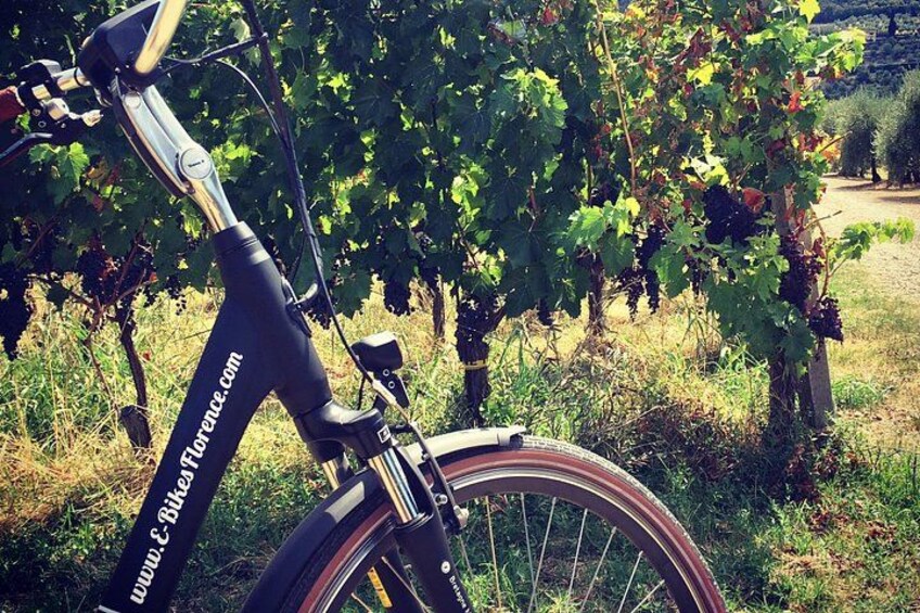 Private Self-Guided E-Bike Ride in Tuscany with Vineyard Visit 2
