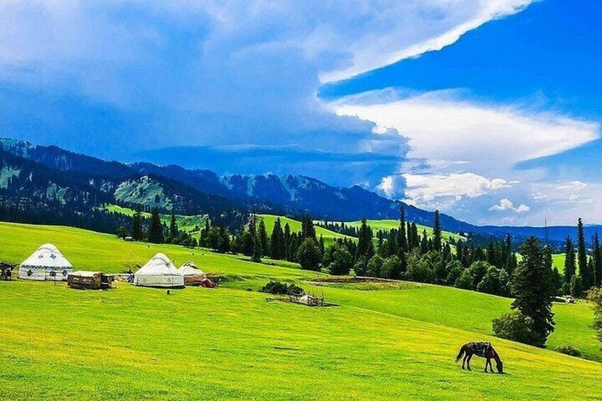 A green field with yurts and a horse. 3