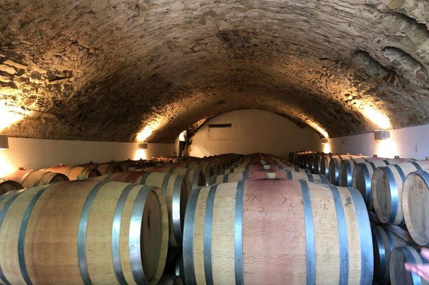 Une cave où des barriques en bois sont disposées en rangées. 5