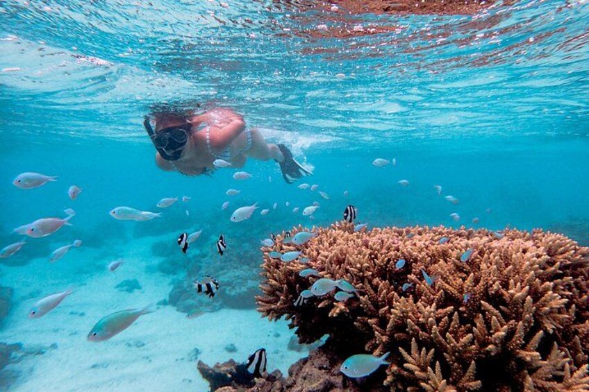 Rarotonga Cruise Ship Special 2