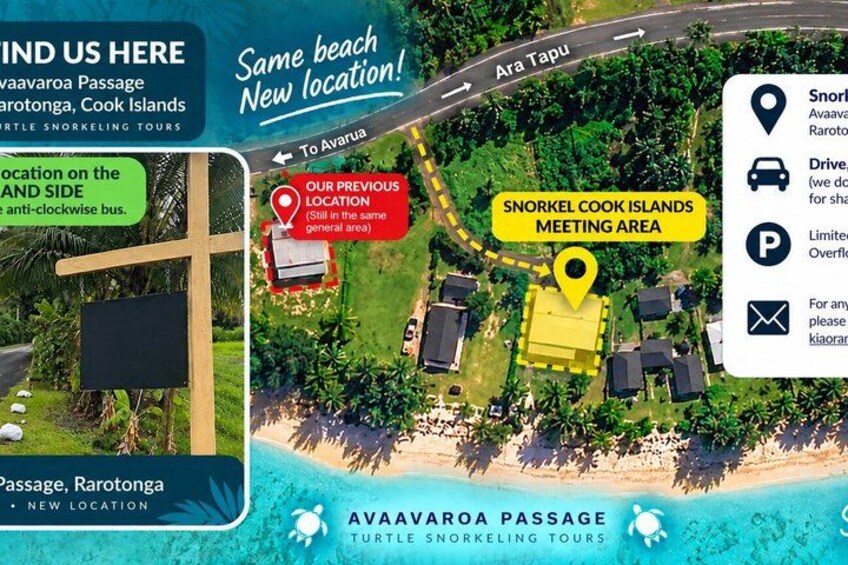 Private Rarotonga Turtle Tour 2