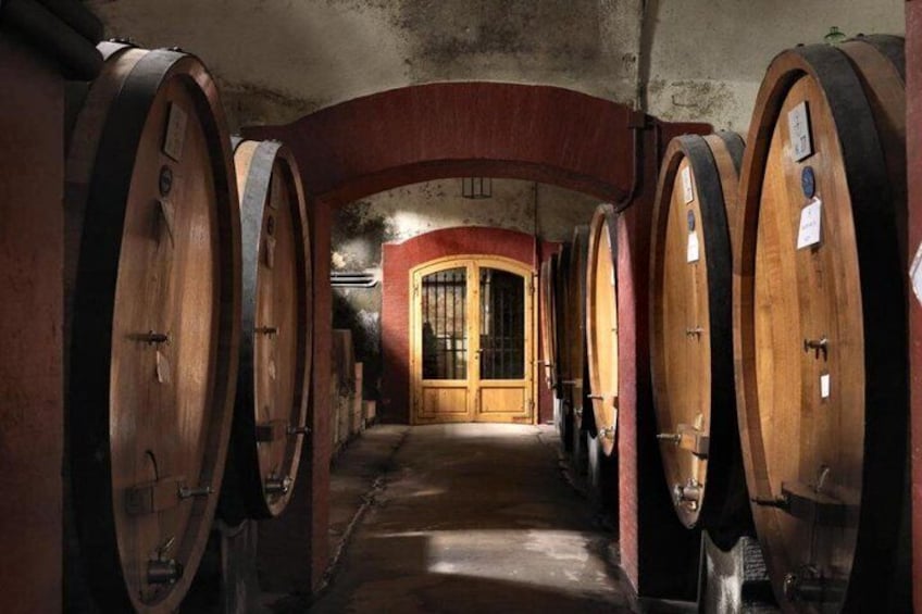 Amazing old wine cellar 2