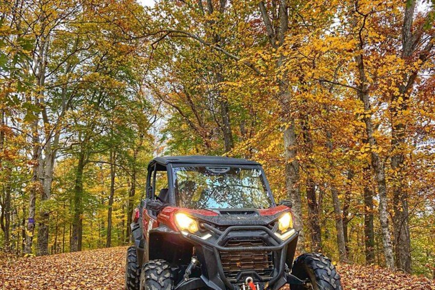 Un cuatrimoto en un bosque con hojas otoñales. 3
