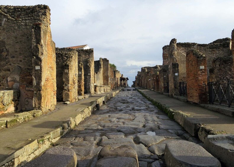 Pompeii & Mt.Vesuvius with Pizza or Wine Tasting from Naples