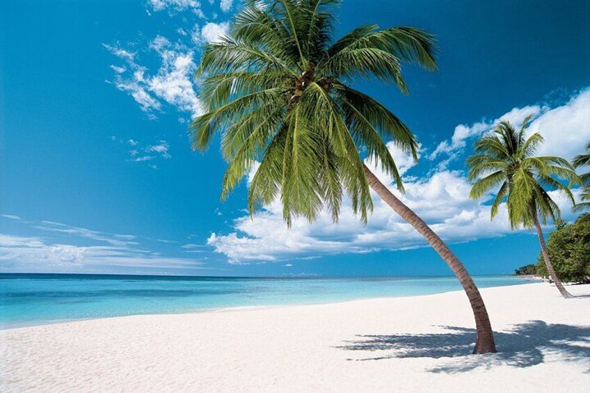 Ein Strand mit weißem Sand, klarem, blauem Wasser, Palmen und einem wolkenlosen Himmel. 5