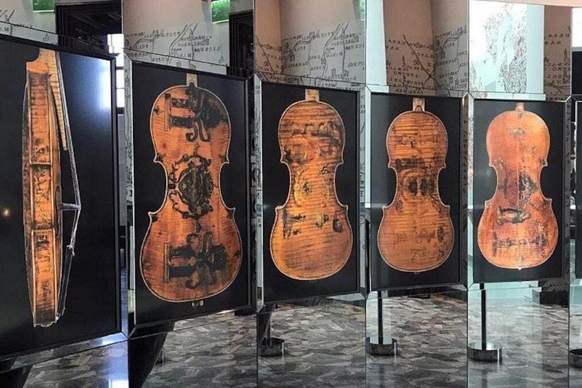 Una serie de instrumentos de cuerda expuestos en vitrinas. 3