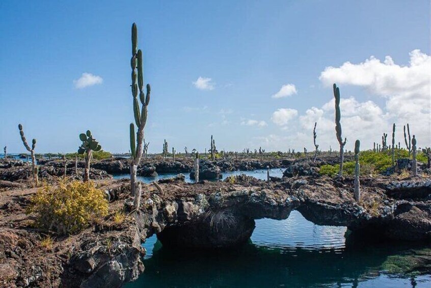 11 Days Galapagos Full Experiences " Santa Cruz- Isabela - San Cristobal "