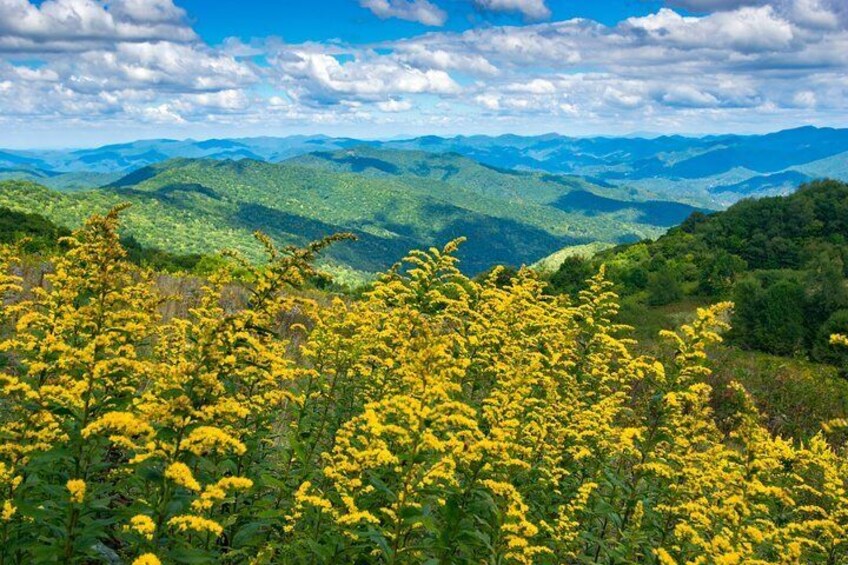 Half-Day Hike with Long Range Views from Asheville