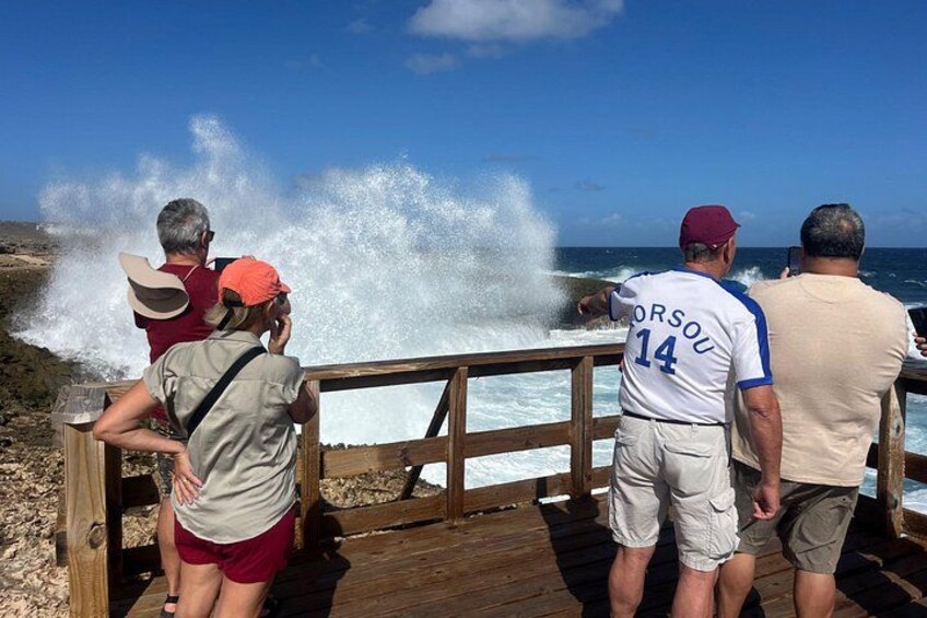 Curaçao Nature Lovers Tour 2