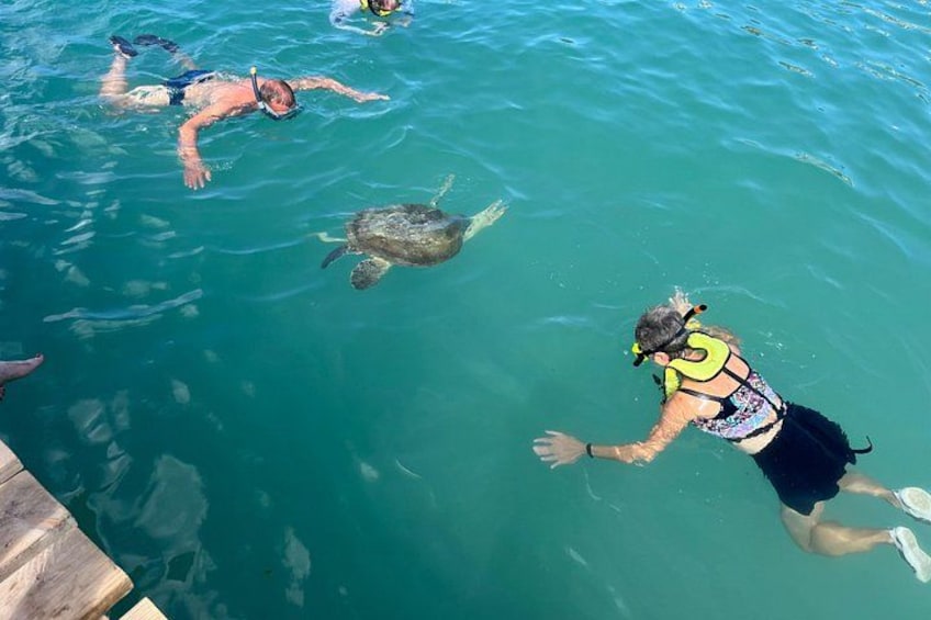 Curaçao Nature Lovers Tour 3