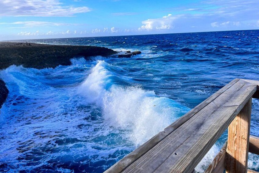Curaçao Nature Lovers Tour 5