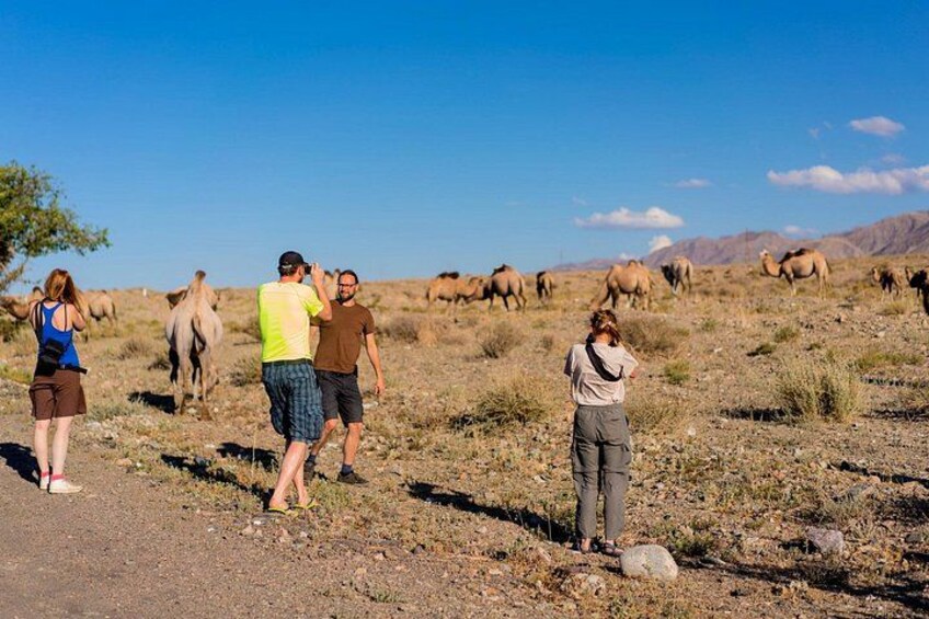 Daan Viljoen Sunrise Private Tour: A Wildlife Discovery Hike 5