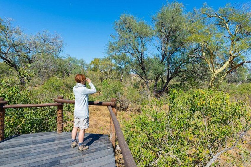 Daan Viljoen Sunrise Private Tour: A Wildlife Discovery Hike 4