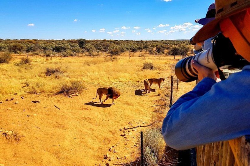 Daan Viljoen Sunrise Private Tour: A Wildlife Discovery Hike 3