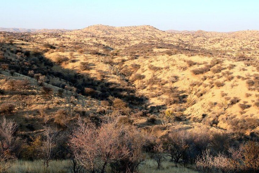 Daan Viljoen Sunrise Private Tour: A Wildlife Discovery Hike 2