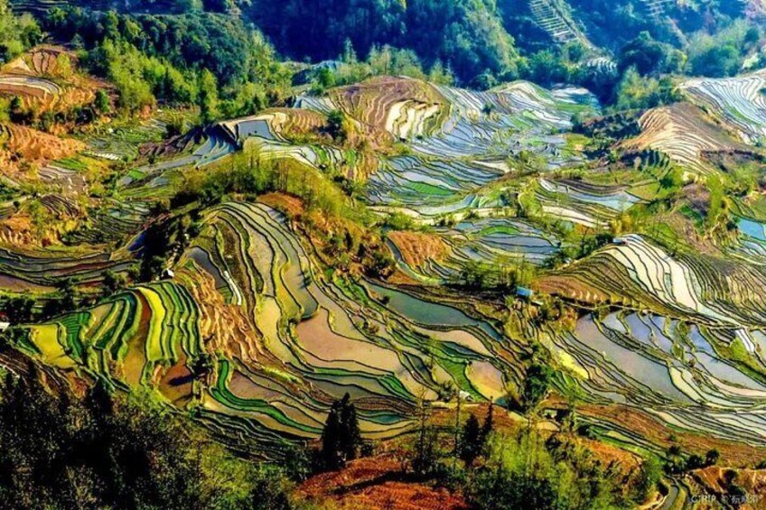 Yuanyang Rice Terrace