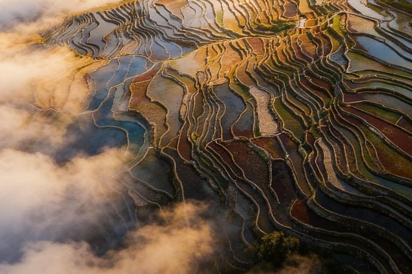 Terraced rice fields with water channels. 2