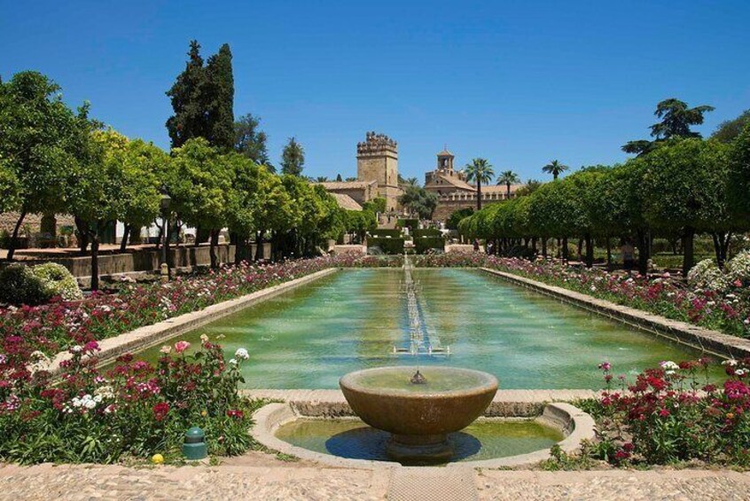 Cordoba private tour from Seville including the great Mosque for up to 8 persons