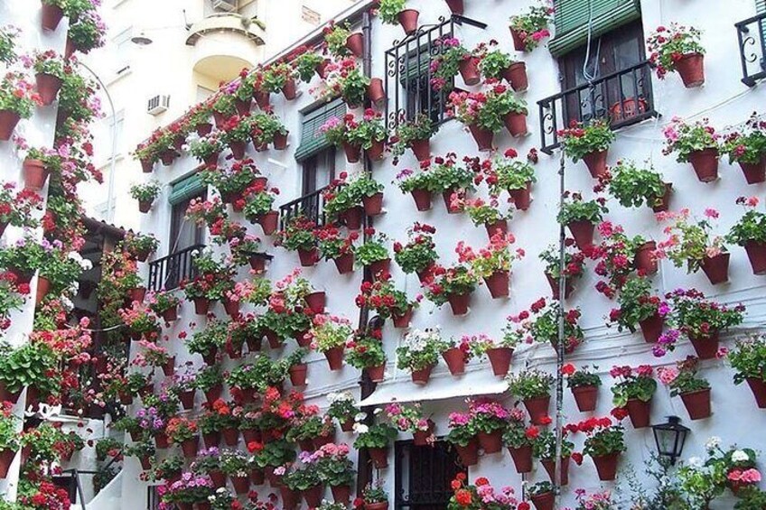 Cordoba private tour from Seville including the great Mosque for up to 8 persons