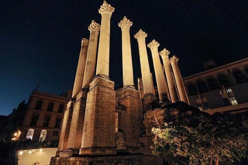 Cordoba private tour from Seville including the great Mosque for up to 8 persons