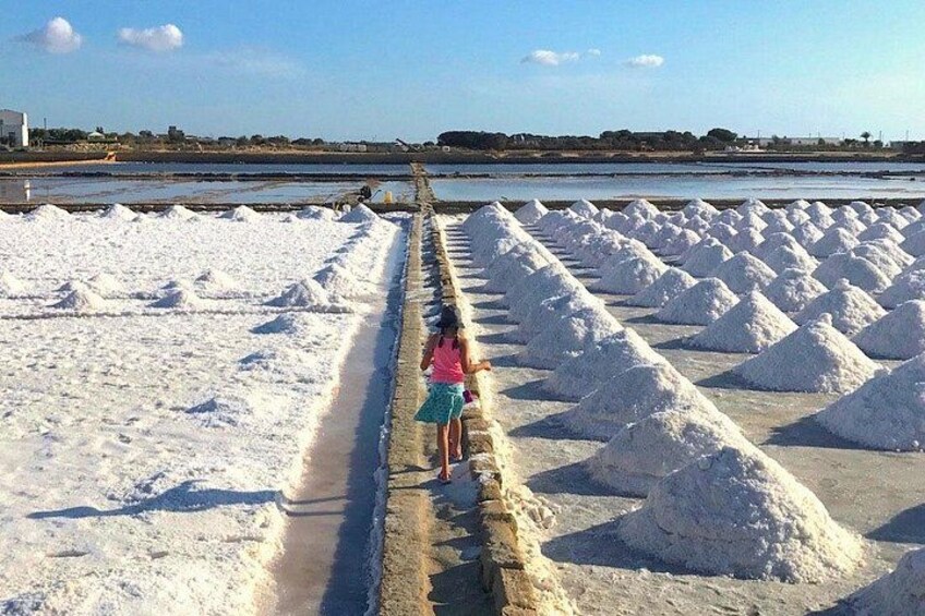 Tour from Palermo to Segesta, Erice, Trapani salt pans 2