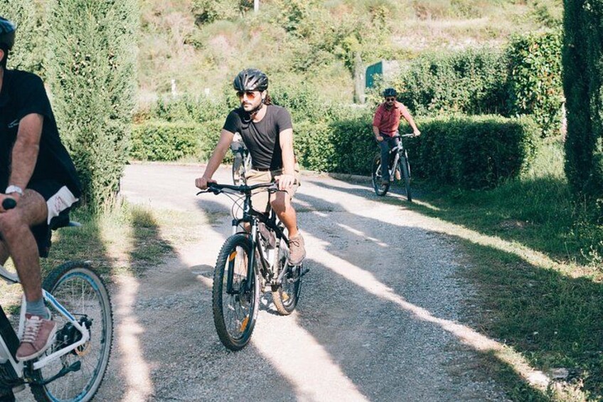 Private E-bike Tour in Chianti from San Gimignano 5