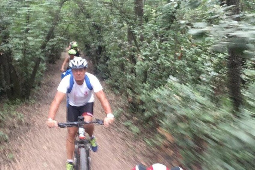 En person som cyklar på en mountainbike på en stig i skogen. 4
