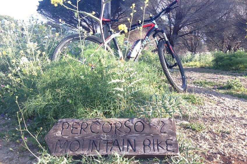 En träskylt med texten ”PERCORSO 2 MOUNTAIN BIKE”, en mountainbike och en naturskön utomhusmiljö med gräs och träd. 2