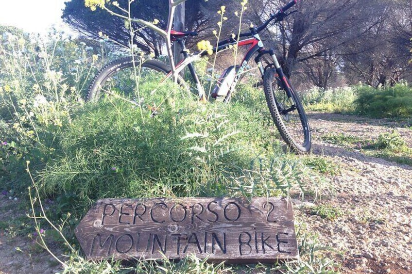 Ein Holzschild mit der Aufschrift 'PERCORSO 2 MOUNTAIN BIKE', ein Mountainbike und eine natürliche Landschaft mit Bäumen und Gras. 2