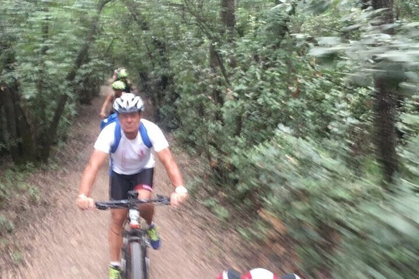 Eine Person fährt Mountainbike auf einem Waldweg. 5