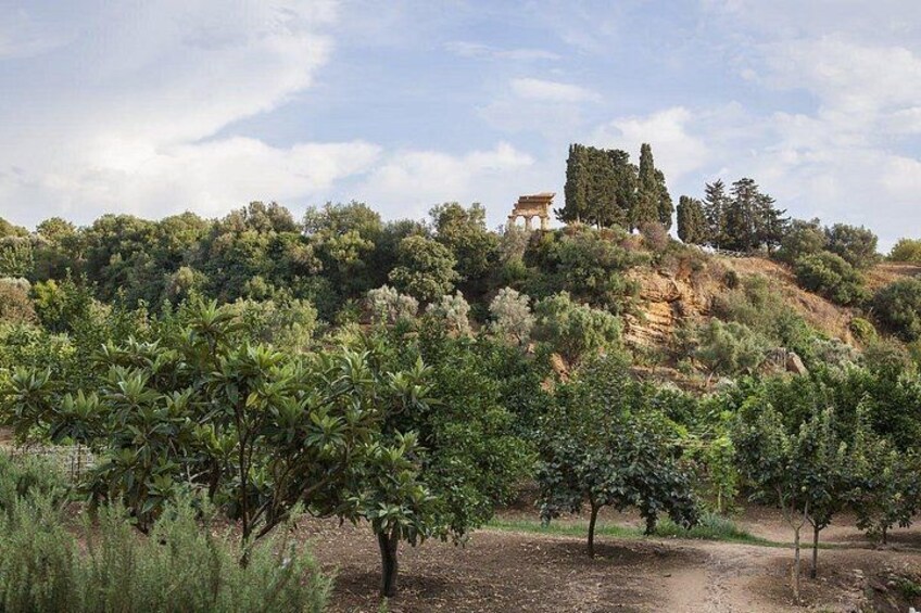Kolymbethra Garden 5