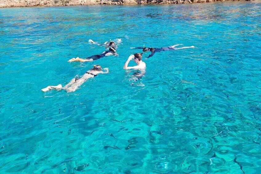 Dolphin Watching Tour with Snorkeling from Olbia 2