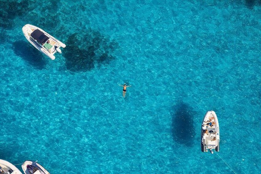 Dolphin Watching Tour with Snorkeling from Olbia 2