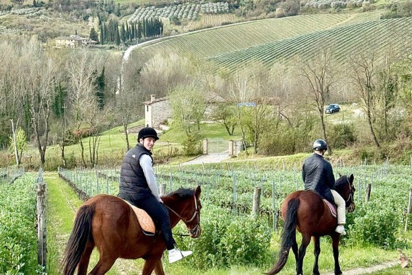 Horseback Ride, visit S.Gimignano, Lunch wine Tasting &much more 5